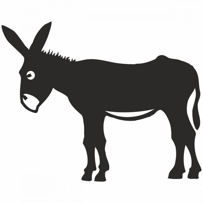 Burro vinilo 11*11cm