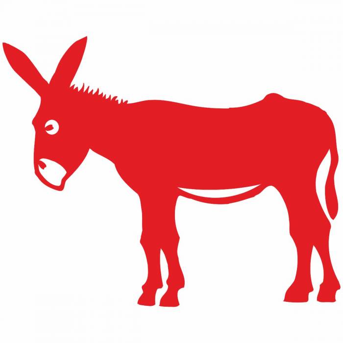 Burro vinilo 9*9cm
