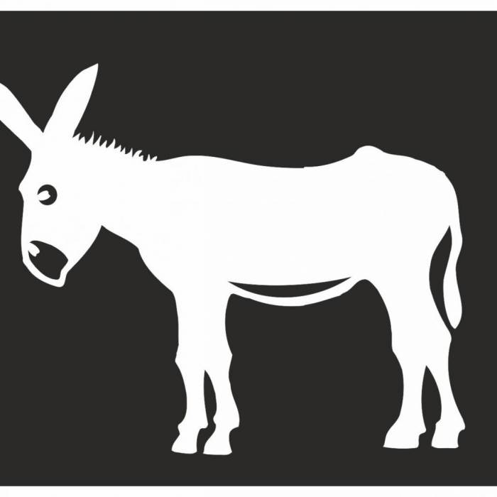 Burro vinilo 7*7cm